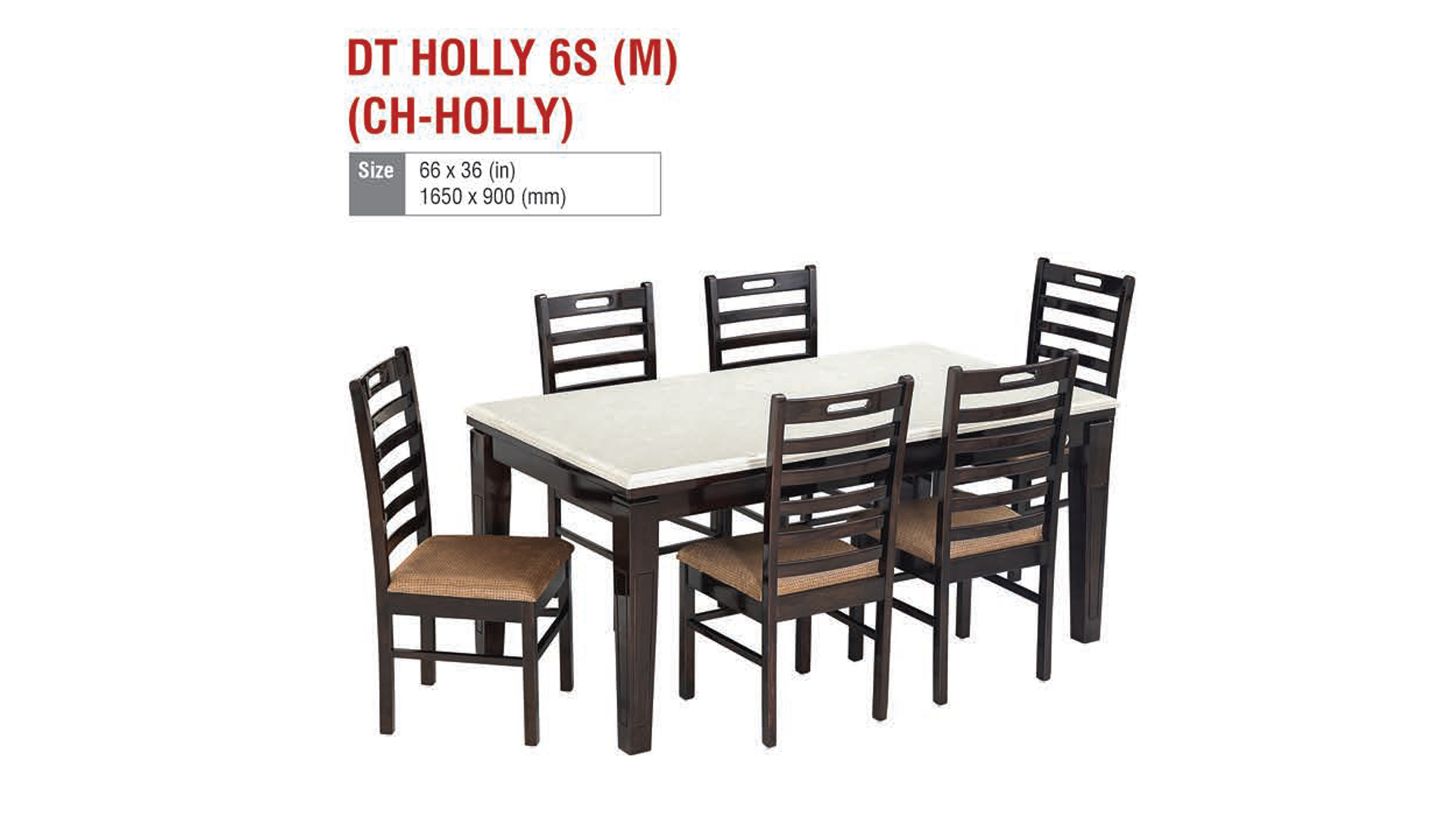 DT HOLLY 6S (M) (CH-HOLLY)